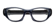Shiny Navy/Black | Lens Type, Lens Color