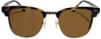 Tortoise Gold | Lens Type, Coatings Sunglass
